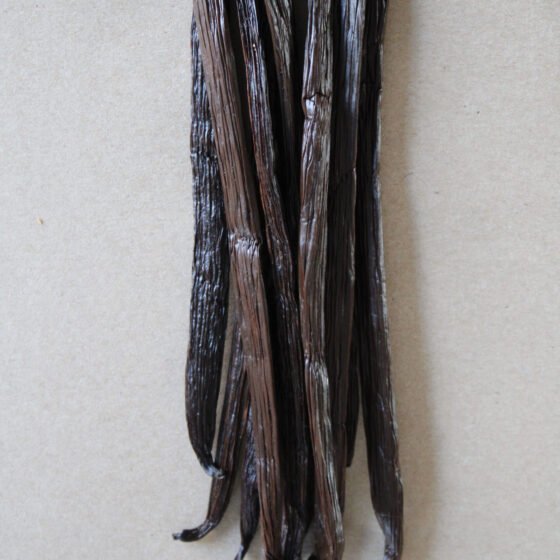 Vanille Djana & Léo – 10 Gousses