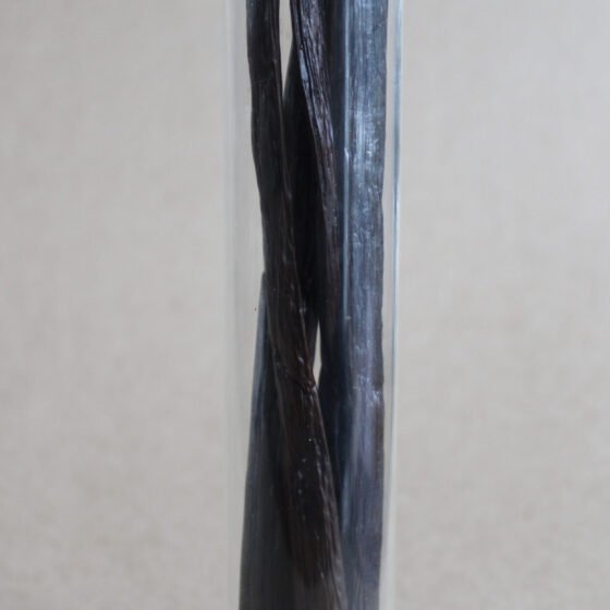 Vanille Djana & Léo – 5 Gousses