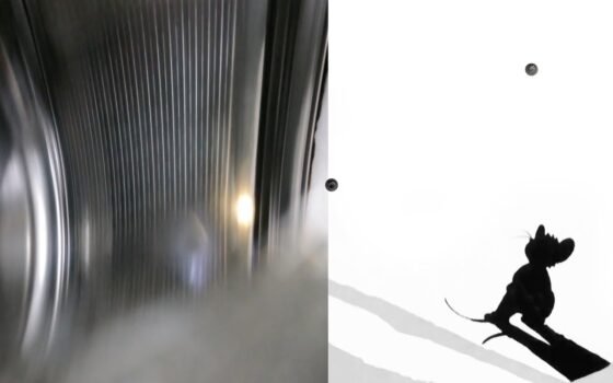 Visuel de l'exposition Secret Track