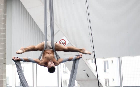 Stage tissu aérien dynamique