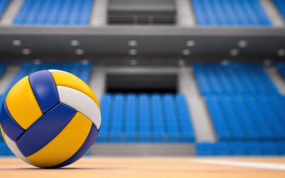 Ballon de volleyball.