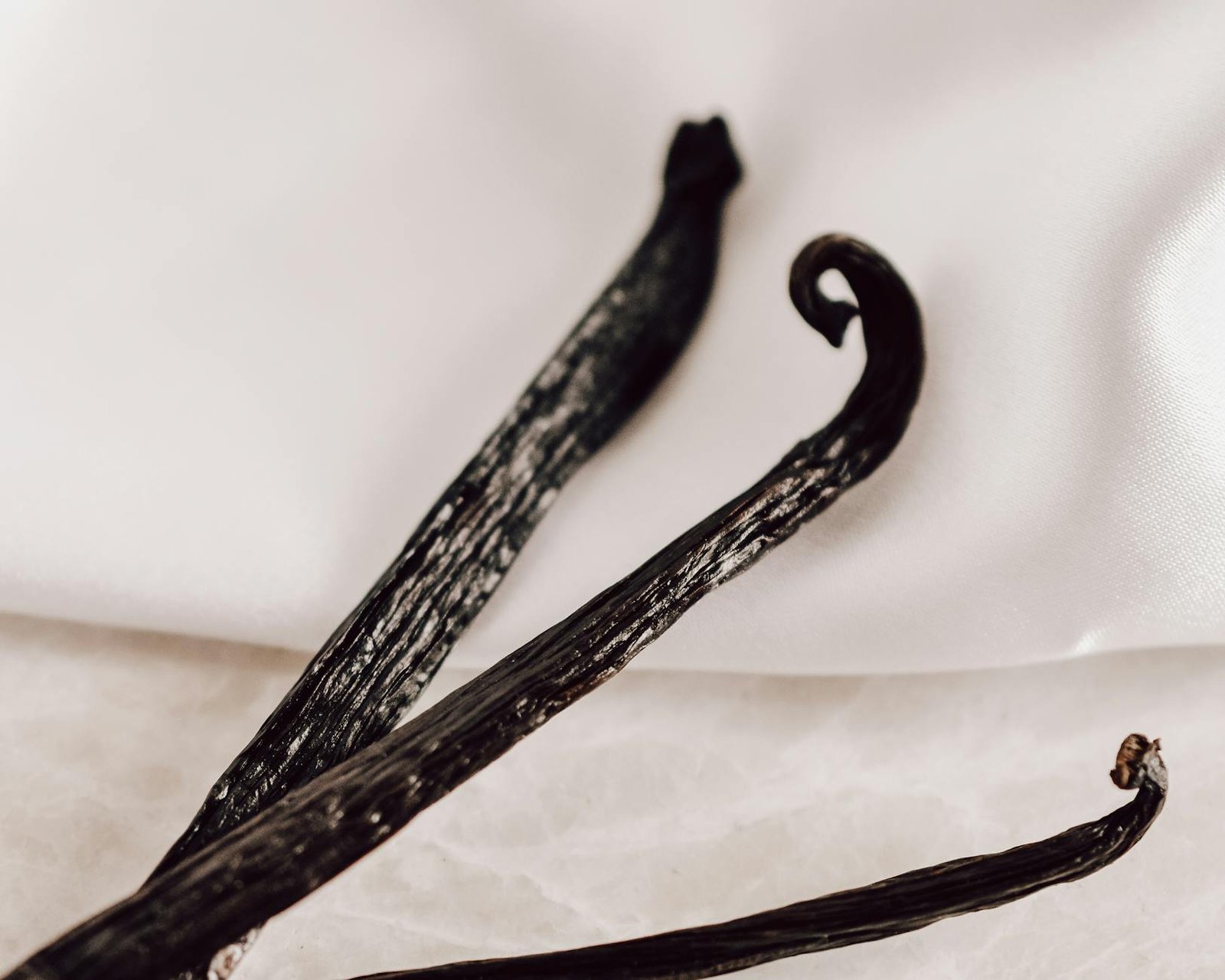 close up of vanilla beans